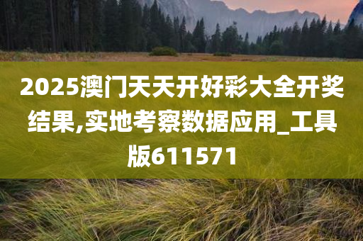 2025澳门天天开好彩大全开奖结果,实地考察数据应用_工具版611571
