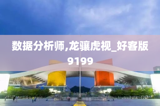 数据分析师,龙骧虎视_好客版9199