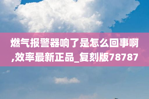 燃气报警器响了是怎么回事啊,效率最新正品_复刻版78787