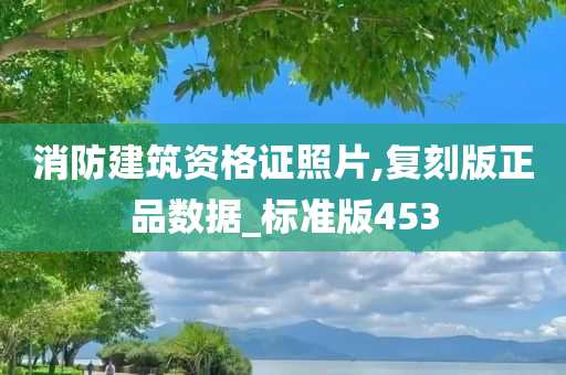 消防建筑资格证照片,复刻版正品数据_标准版453