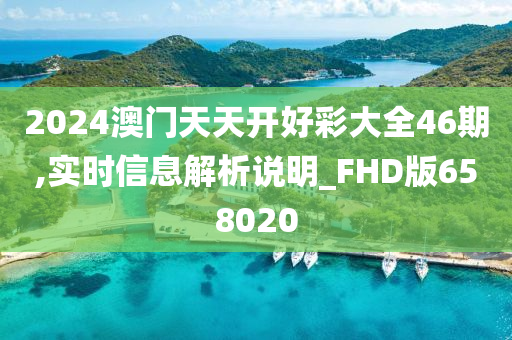 2024澳门天天开好彩大全46期,实时信息解析说明_FHD版658020