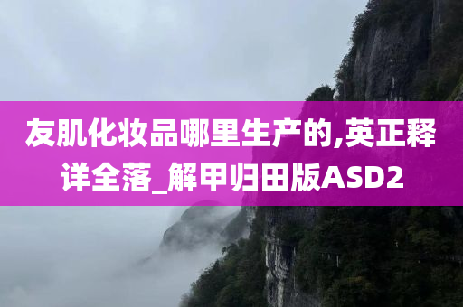 友肌化妆品哪里生产的,英正释详全落_解甲归田版ASD2