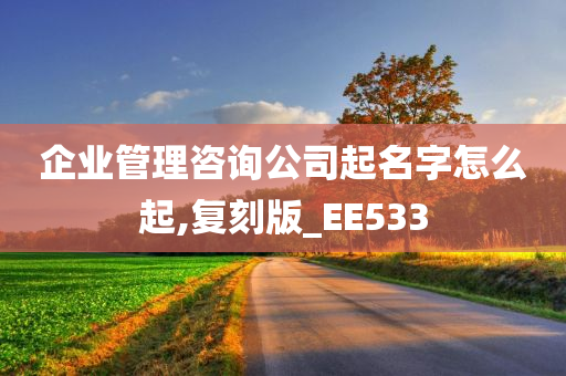 企业管理咨询公司起名字怎么起,复刻版_EE533