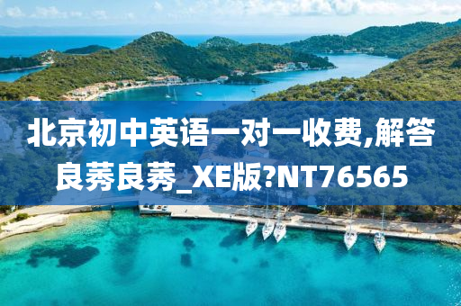 北京初中英语一对一收费,解答良莠良莠_XE版?NT76565