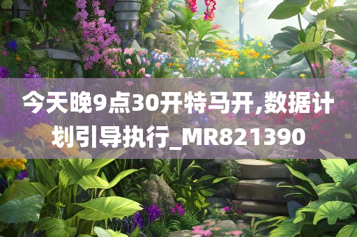 今天晚9点30开特马开,数据计划引导执行_MR821390