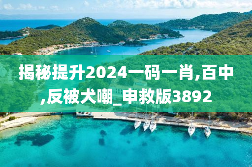 揭秘提升2024一码一肖,百中,反被犬嘲_申救版3892