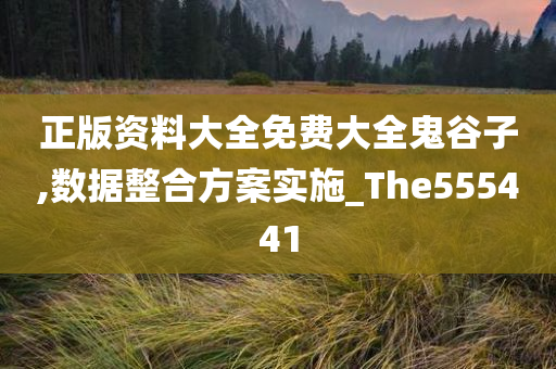 正版资料大全免费大全鬼谷子,数据整合方案实施_The555441