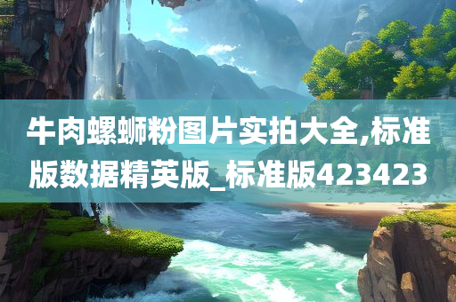 牛肉螺蛳粉图片实拍大全,标准版数据精英版_标准版423423