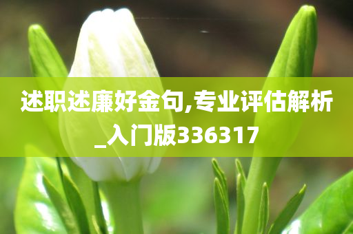 述职述廉好金句,专业评估解析_入门版336317