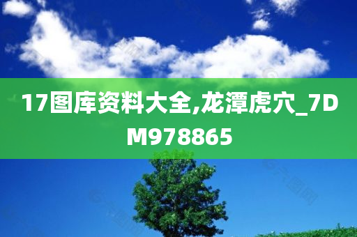 17图库资料大全,龙潭虎穴_7DM978865
