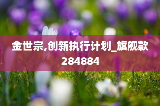 金世宗,创新执行计划_旗舰款284884