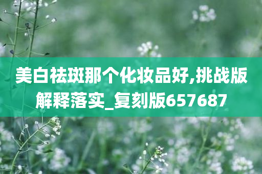 美白祛斑那个化妆品好,挑战版解释落实_复刻版657687