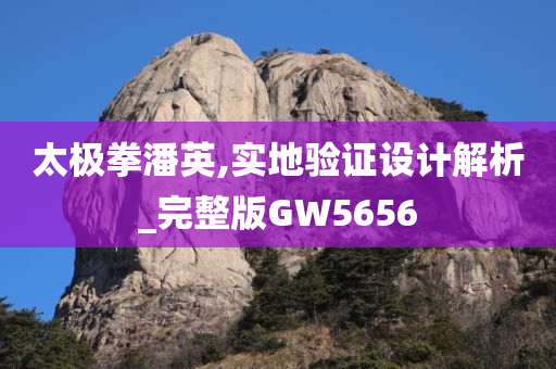 太极拳潘英,实地验证设计解析_完整版GW5656
