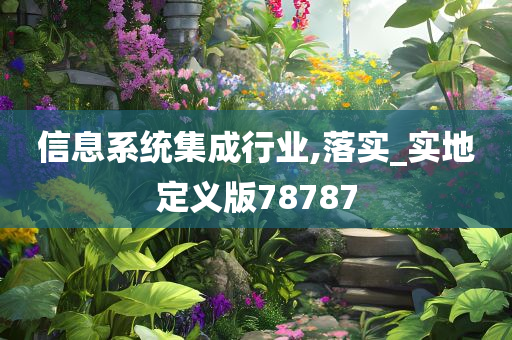 信息系统集成行业,落实_实地定义版78787