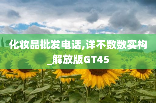 化妆品批发电话,详不数数实构_解放版GT45