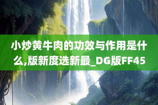 小炒黄牛肉的功效与作用是什么,版新度选新最_DG版FF45