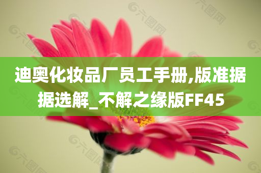 版准解