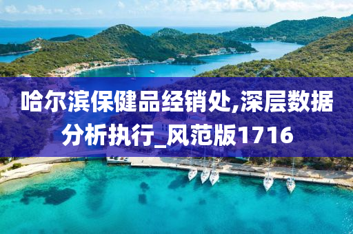 哈尔滨保健品经销处,深层数据分析执行_风范版1716