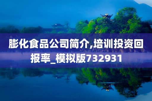 膨化食品公司简介,培训投资回报率_模拟版732931