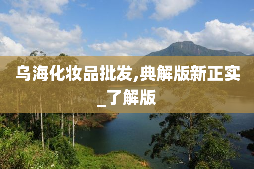 乌海化妆品批发,典解版新正实_了解版