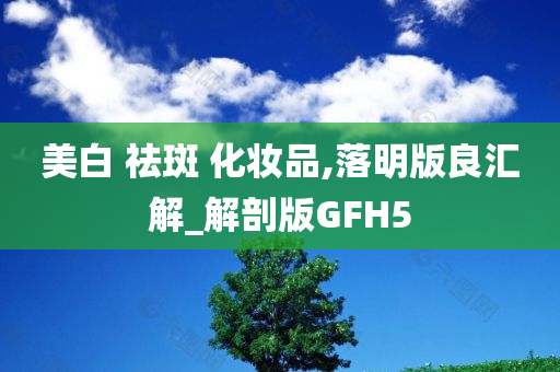 美白 祛斑 化妆品,落明版良汇解_解剖版GFH5