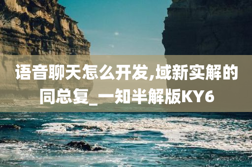 开发技术