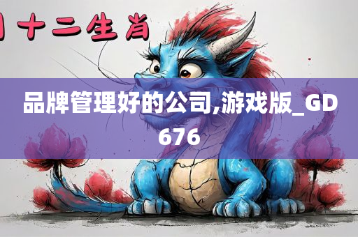 品牌管理好的公司,游戏版_GD676