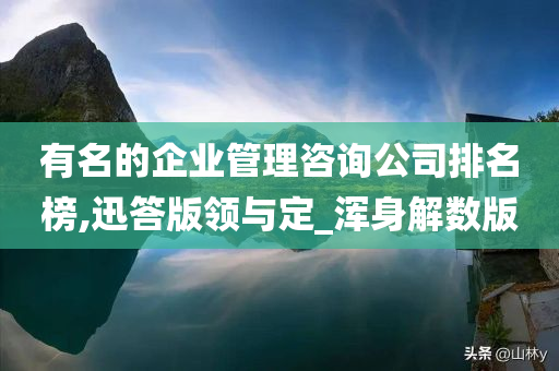有名的企业管理咨询公司排名榜,迅答版领与定_浑身解数版