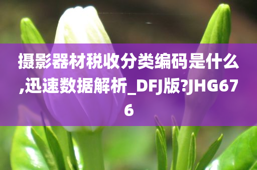 摄影器材税收分类编码是什么,迅速数据解析_DFJ版?JHG676