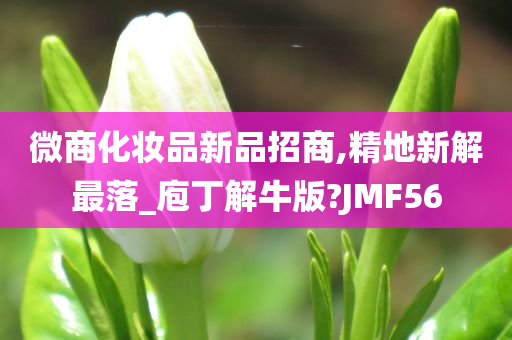 微商化妆品新品招商,精地新解最落_庖丁解牛版?JMF56