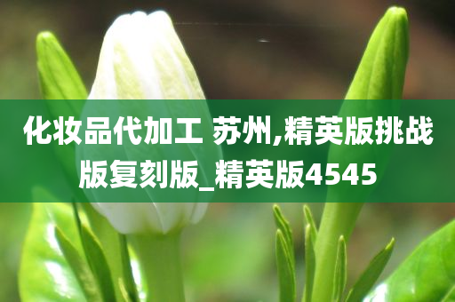 化妆品代加工 苏州,精英版挑战版复刻版_精英版4545