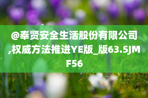 @奉贤安全生活股份有限公司,权威方法推进YE版_版63.5JMF56