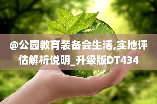 @公园教育装备会生活,实地评估解析说明_升级版DT434