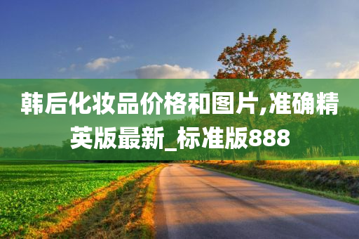韩后化妆品价格和图片,准确精英版最新_标准版888