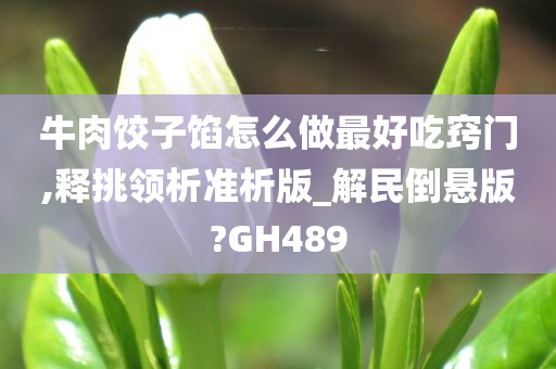 牛肉饺子馅怎么做最好吃窍门,释挑领析准析版_解民倒悬版?GH489