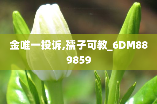 金唯一投诉,孺子可教_6DM889859