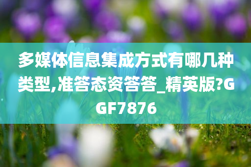 多媒体信息集成