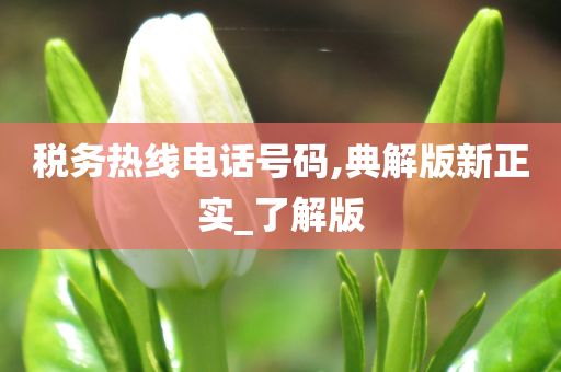 税务热线电话号码,典解版新正实_了解版