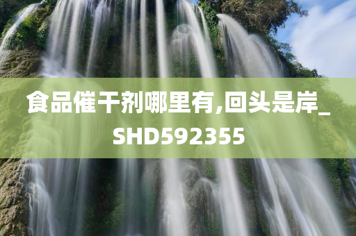 食品催干剂哪里有,回头是岸_SHD592355