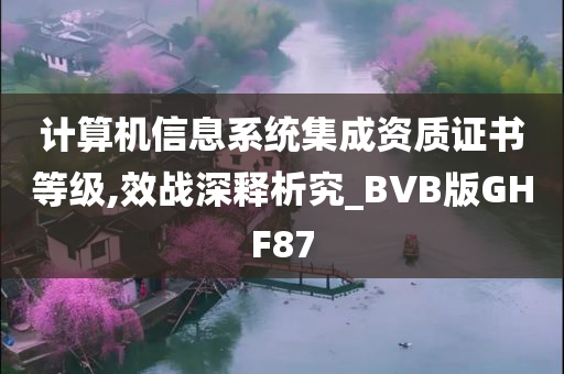 计算机信息系统集成资质证书等级,效战深释析究_BVB版GHF87