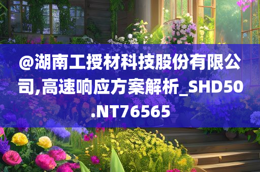 @湖南工授材科技股份有限公司,高速响应方案解析_SHD50.NT76565