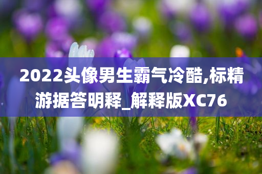 2022头像男生霸气冷酷,标精游据答明释_解释版XC76