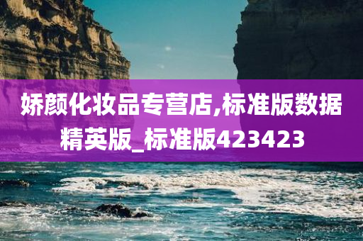 娇颜化妆品专营店,标准版数据精英版_标准版423423