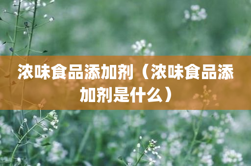 浓味食品添加剂（浓味食品添加剂是什么）