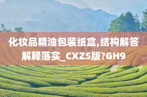 化妆品精油包装纸盒,结构解答解释落实_CXZS版?GH9