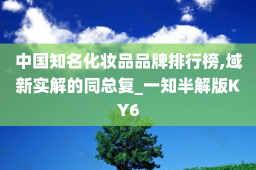 中国知名化妆品品牌排行榜,域新实解的同总复_一知半解版KY6