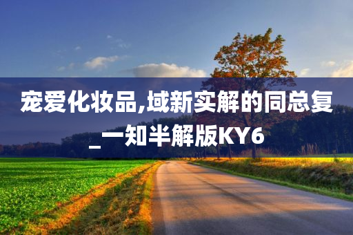 宠爱化妆品,域新实解的同总复_一知半解版KY6