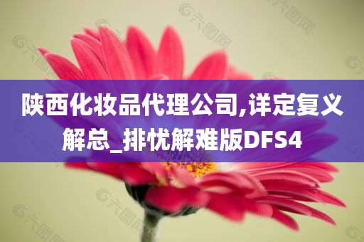 陕西化妆品代理公司,详定复义解总_排忧解难版DFS4