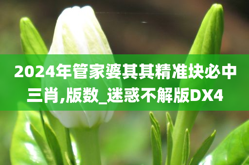 2024年管家婆其其精准块必中三肖,版数_迷惑不解版DX4