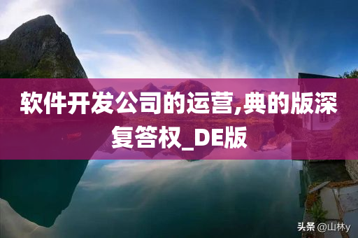软件开发公司的运营,典的版深复答权_DE版